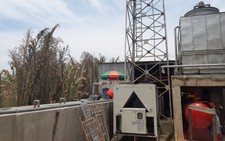Tháo chạy sau tiếng nổ khí gas, quay lại vườn tược xanh tươi đã chết héo