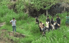 Tai nạn trên cầu Rạch Miễu, 2 người chết thảm
