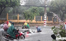 Ước mơ nho nhỏ