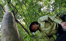 Bảo vệ rừng… bỏ rừng vì bị nợ lương