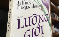 Lưỡng giới: Trường thi của liên giới tính