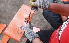 Tình nguyện viên quốc tế học tiếng Việt, trồng cây xanh ở Việt Nam