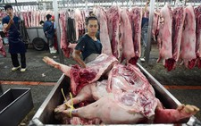 Dịch tả lan rộng, cuối năm nay sẽ thiếu thịt heo?