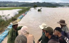 Đê Quảng Điền vỡ, đe dọa hàng ngàn hecta lúa sắp thu hoạch