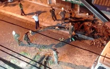Chặt hạ khẩn cây sưa đỏ trên phố cổ Hà Nội vì đổ nghiêng