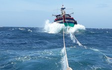 Tàu kiểm ngư cứu 2 tàu cá và 12 ngư dân gặp nạn trên biển