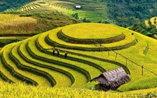 Yên Bái: Lễ hội Văn hóa, du lịch Mường Lò