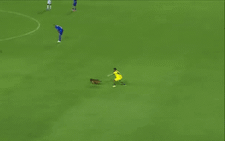 Video chú chó gây náo loạn trận đấu ở Giải vô địch bóng đá Brazil