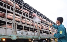 CPI tăng nhẹ 0,28%, vẫn lo dịch tả làm tăng giá thịt lợn