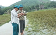 Mưa lũ sau bão số 4 gây thiệt hại lớn ở vùng cao Thanh Hóa