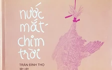 Sài Gòn bao dung và đôi chim bị treo ngược đầu trong 'Nước mắt chim trời'