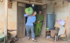 9 tháng gây ra 29 vụ trộm nông sản trên 1 tỷ đồng