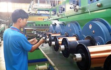 Doanh nghiệp Việt chủ yếu 'tự bơi'?