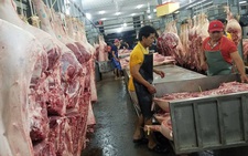 Lượng heo về chợ tăng gấp đôi hôm qua, giá giữ ổn định