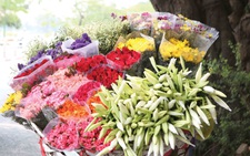 Em ơi, Hà Nội hoa