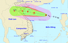Bão số 7 cách Hoàng Sa 250km, giật cấp 11 và còn mạnh thêm