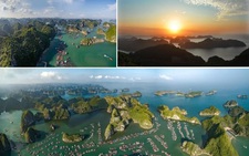 Flamingo Cat Ba Resorts, điểm đến hàng đầu cho kỳ nghỉ dưỡng ngắn ngày