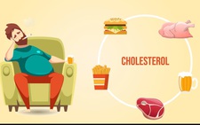 Báo động tình trạng thừa cholesterol đang 'gây hại' sức khỏe