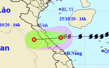 Bão số 8 đã suy yếu thành áp thấp nhiệt đới