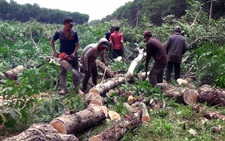 Kiến nghị Thủ tướng quyết định đầu tư sân bay Long Thành