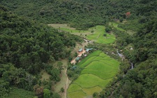 Sống với rừng già