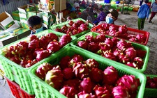 Việt Nam đạt mức xuất siêu kỷ lục 20 tỉ USD