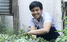 'Cha mẹ mất rồi, con ở với ai'