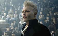 Johnny Depp mất vai trong phim tiền truyện 'Harry Potter' vì thua kiện
