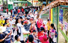 'Ngán' COVID-19, khu vui chơi hạn chế với khách đoàn