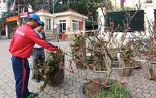Thú chơi tận diệt núi rừng