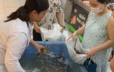 Rộ 'giải cứu' tôm hùm với giá giảm phân nửa