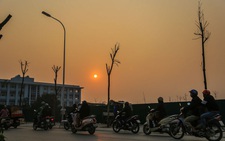 Hàng trăm cây sấu chết khô thảm thương trên đường mới mở ở Hà Nội
