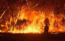 Australia phát triển vệ tinh dự báo cháy rừng