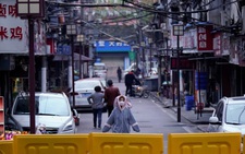 Bloomberg: 'Tình báo Mỹ kết luận Trung Quốc giấu dịch COVID-19 ở Vũ Hán'