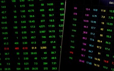 Chứng khoán Mỹ giảm, VN-Index xanh rực rỡ, nhiều cổ phiếu tăng trần