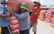 Lập đoàn kiểm tra việc xuất khẩu gạo, mời 3 bộ Tài chính, Công an, NN&PTNT tham gia