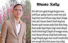 Chữ Việt song song:  Sáng tạo đáng nể hay rắc rối, 'đọc trẹo cả mồm'?