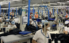 Gần 60% doanh nghiệp FDI tại TP.HCM báo lỗ triền miên, lỗ nhưng mở rộng sản xuất