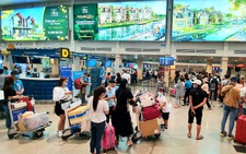 Hàng không tăng tần suất, tung vé giá rẻ kích cầu