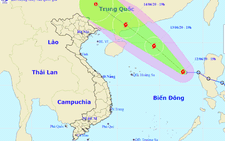 Áp thấp nhiệt đới mạnh lên thành bão số 1, tên quốc tế là Nuri