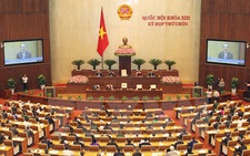 Đoàn giám sát của Quốc hội từng đánh giá vụ án Hồ Duy Hải có 'những thiếu sót, vi phạm'