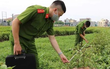Bị sét đánh chết khi đang cắt rau