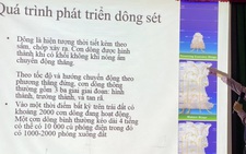 Điện thoại di động không 'hút' sét đánh