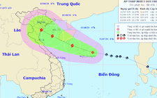 Vùng áp thấp trên biển Đông đã mạnh lên thành áp thấp nhiệt đới