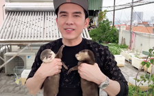 Đan Trường trao cặp rái cá quý hiếm đang nuôi cho Thảo Cầm Viên