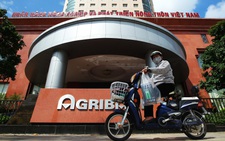 Hàng loạt 'ông lớn' VNPT, Mobifone, Argibank... vẫn chưa thể cổ phần hóa