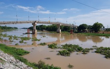 Mực nước các sông ĐBSCL đang lên, đỉnh lũ có thể cuối tháng 9