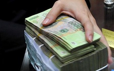 Tưởng rằng cây dứa không gai, ai ngờ gai dứa lại dài hơn chông