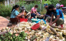 Người Cơ Tu 'xuống núi', tiếp sức chống dịch