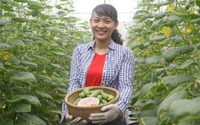 Khu vườn cho trẻ đô thị trải nghiệm